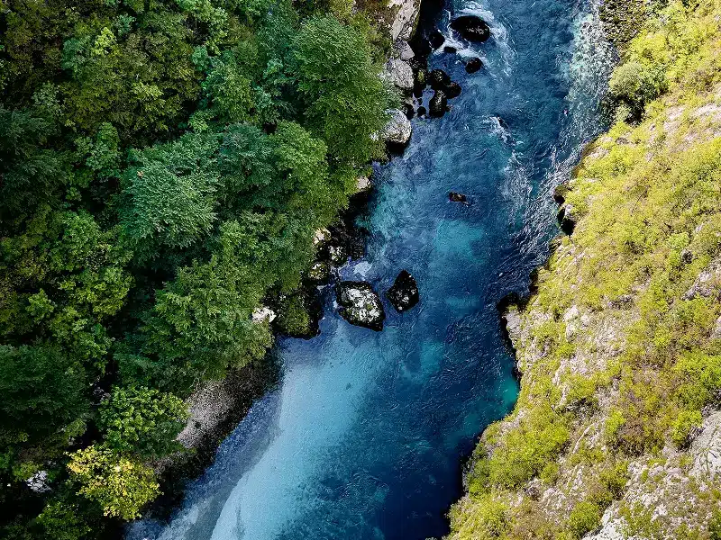 freshwater ecosystems