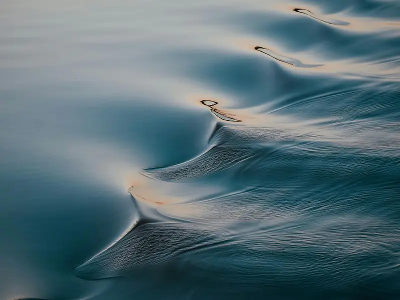 water delegate sustainability